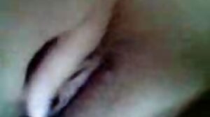 ஸ்டெப்ரோ