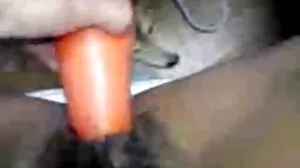 லாசிவியோஸ் சேனல் சி காட்டு குடுத்து வணங்குகிறது