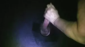 ஹோ தொண்டை பெரிய கருப்பு டிக்