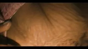 பஸ்டி கிளாம் அழகி MILF சப் அழிந்து வருகிறது