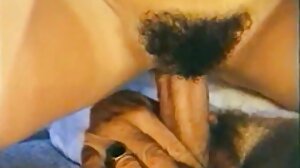 பெட்டிட்