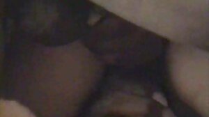 பெரிய சேவல்