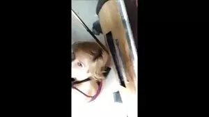 ஹாட் MILF வாயை மூடிக்கொண்டு ஹார்ட்கோரில் ஆதிக்கம் செலுத்தியது